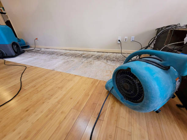 Professional Sewage Cleanup technician working in Montevallo, AL